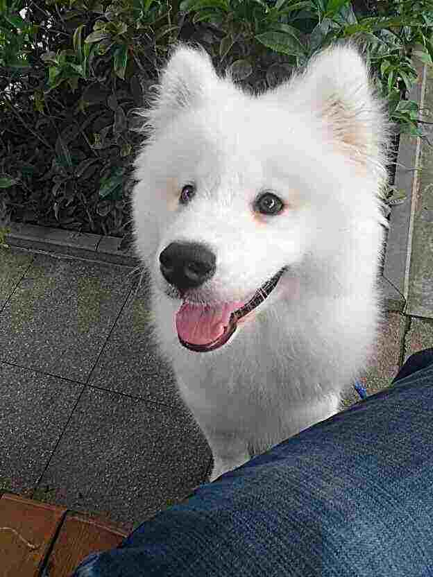 头像