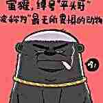 头像