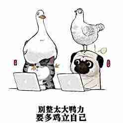 头像