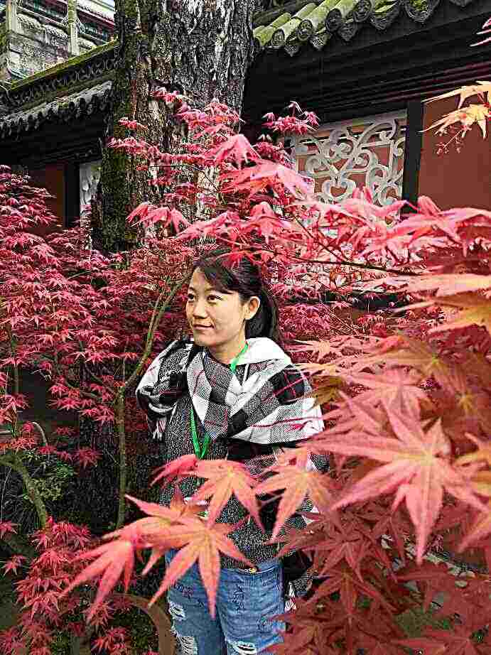 头像