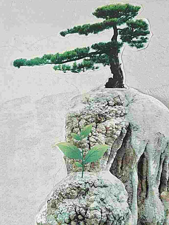 头像