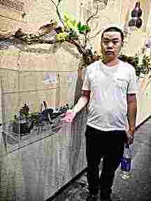 头像