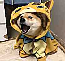 頭像