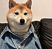 頭像