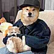头像
