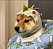頭像