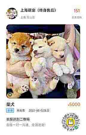 头像