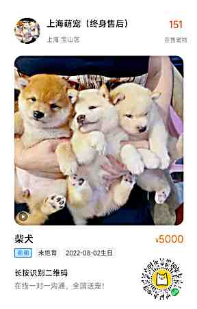 頭像