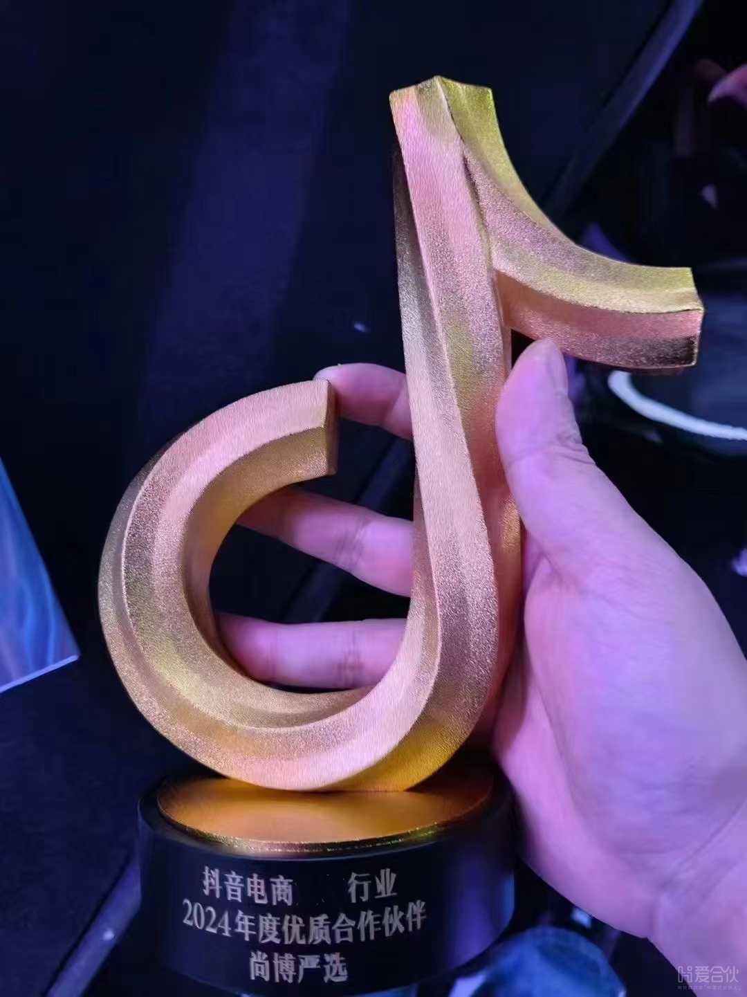 项目资质