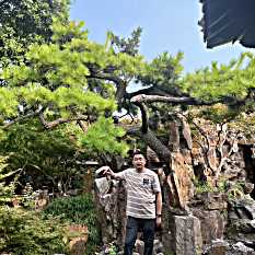 頭像
