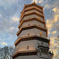 頭像