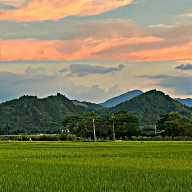 頭像