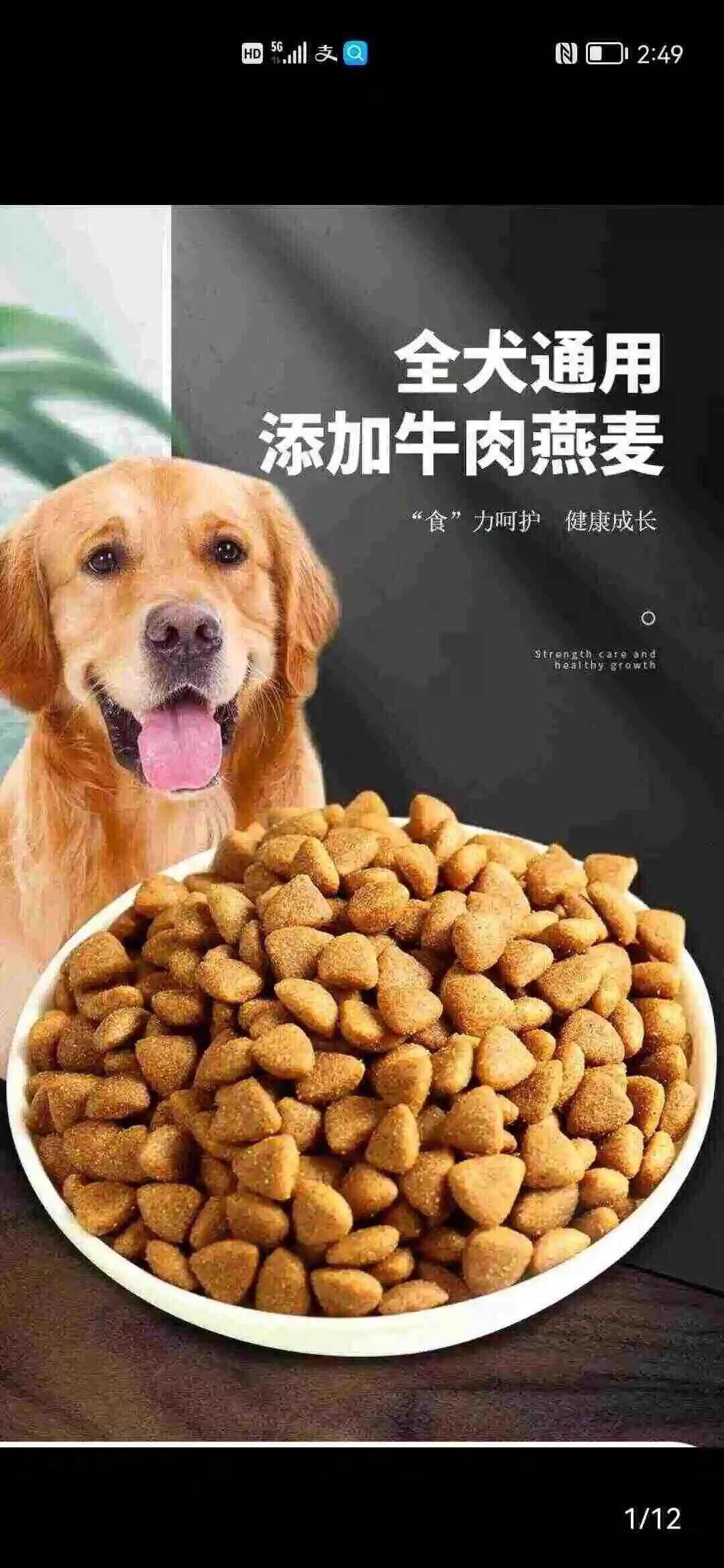 狗粮制作研发项目原图